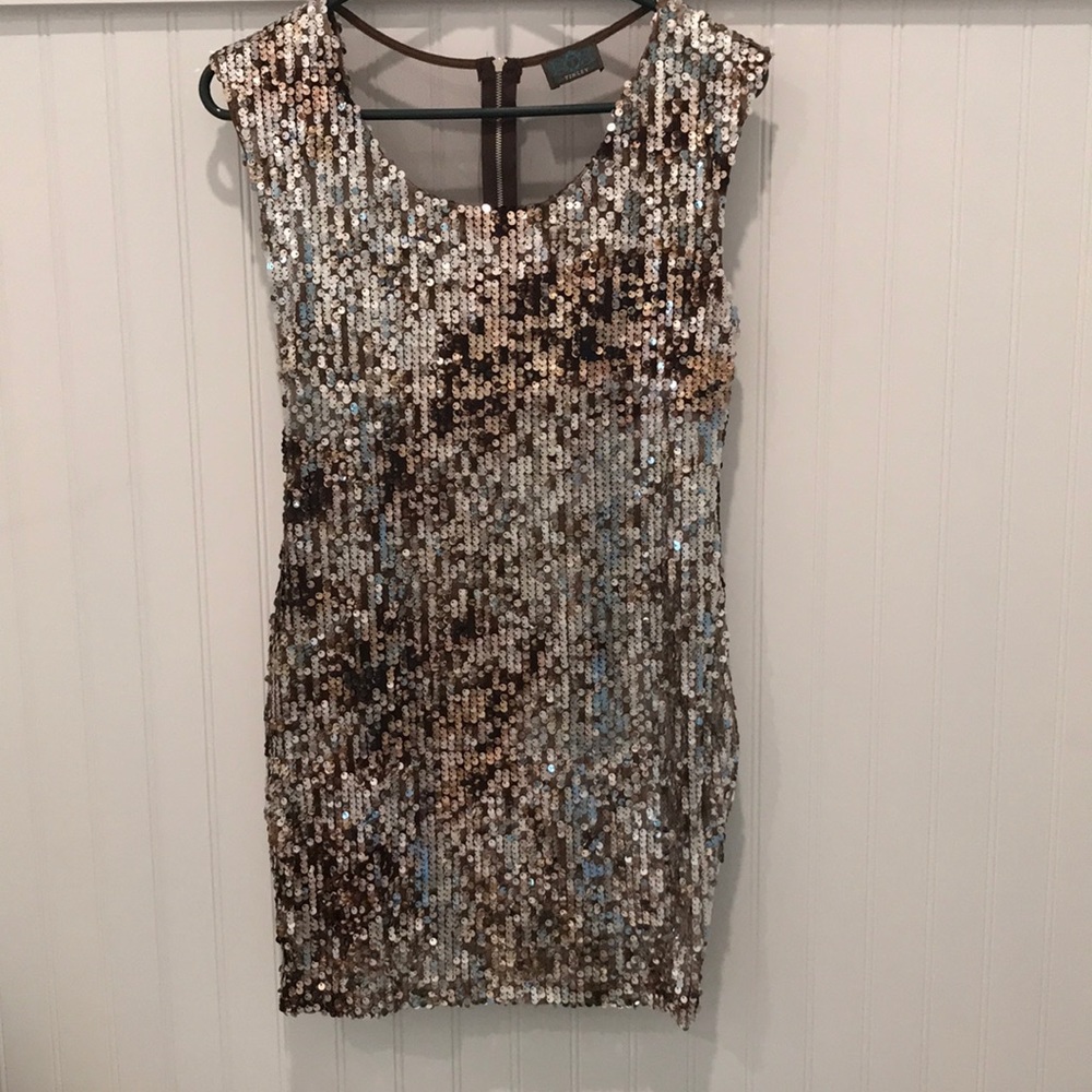 Sequin Fitted Dress w/ mesh back